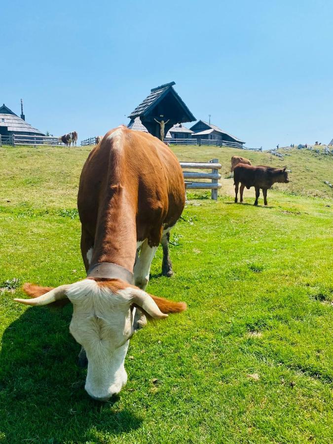 Villa Velika Planina Koca Kekec Stahovica Exterior foto