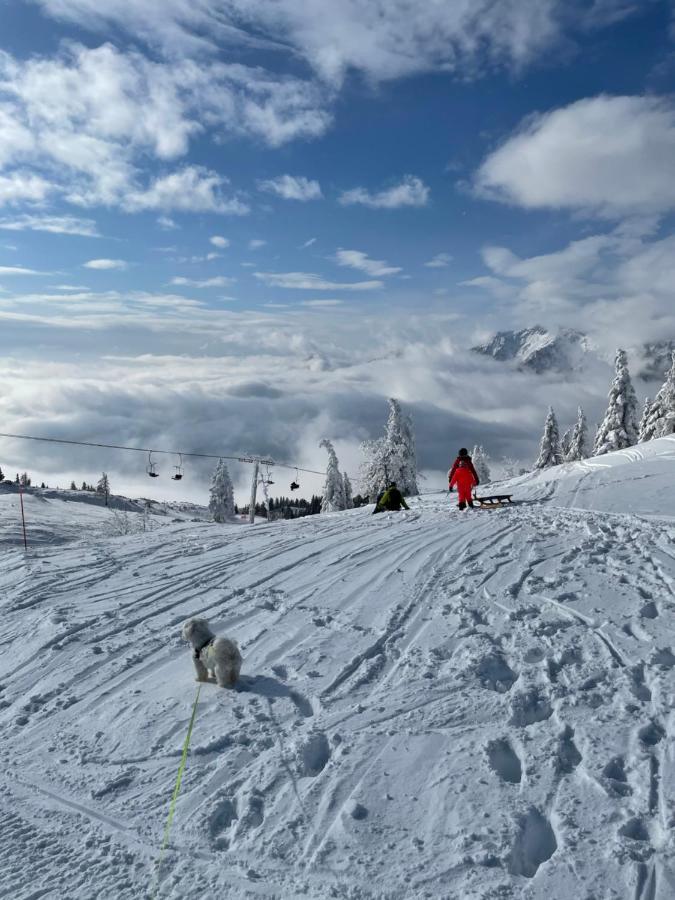 Villa Velika Planina Koca Kekec Stahovica Exterior foto